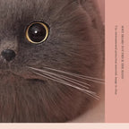Cat Purse for Cat Lovers